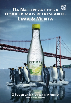Pedras Sabores: Penguin